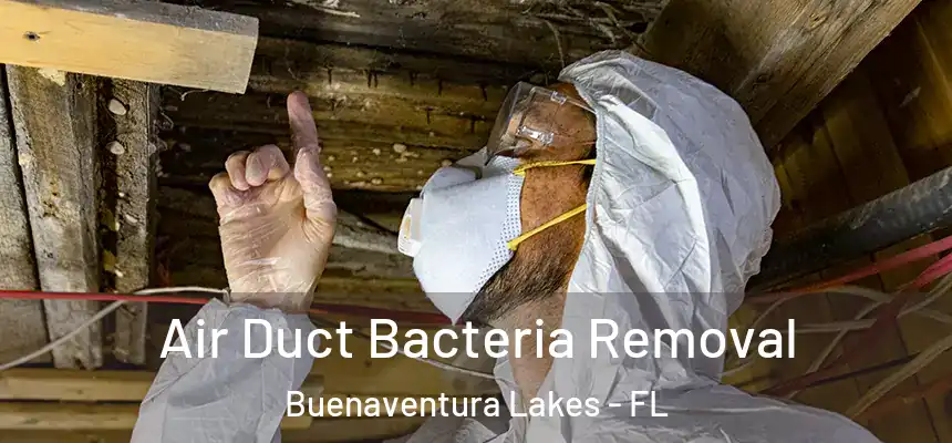 Air Duct Bacteria Removal Buenaventura Lakes - FL