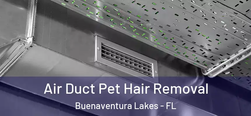 Air Duct Pet Hair Removal Buenaventura Lakes - FL