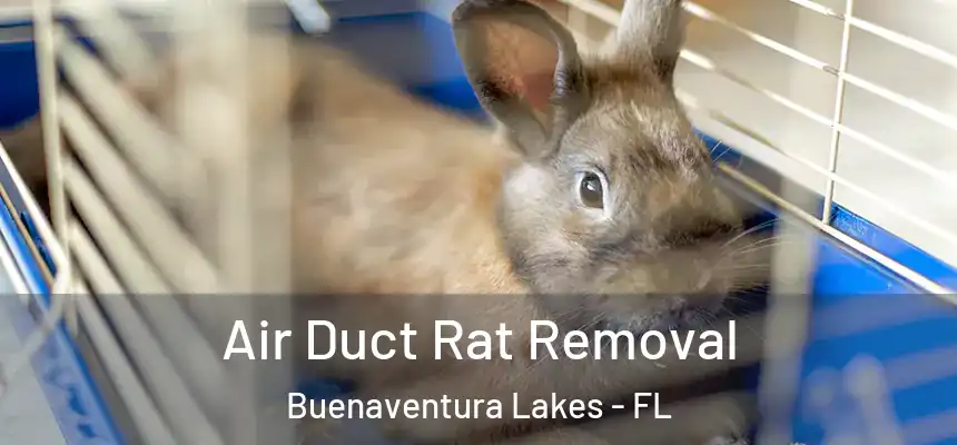 Air Duct Rat Removal Buenaventura Lakes - FL