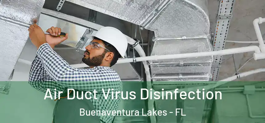 Air Duct Virus Disinfection Buenaventura Lakes - FL