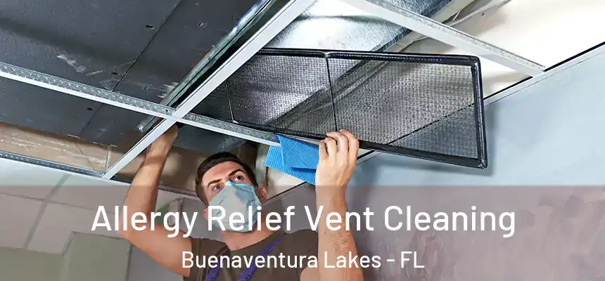 Allergy Relief Vent Cleaning Buenaventura Lakes - FL