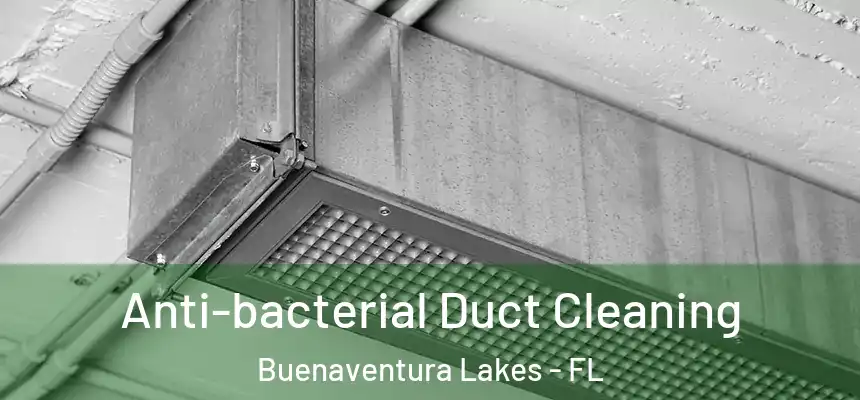 Anti-bacterial Duct Cleaning Buenaventura Lakes - FL
