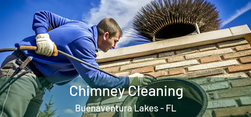 Chimney Cleaning Buenaventura Lakes - FL