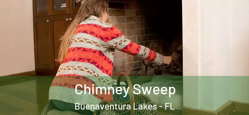 Chimney Sweep Buenaventura Lakes - FL