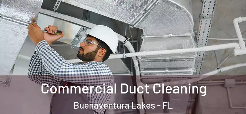 Commercial Duct Cleaning Buenaventura Lakes - FL