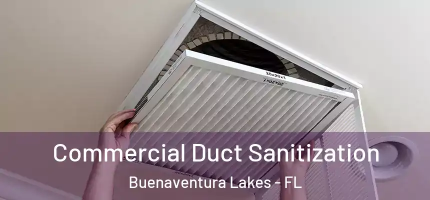 Commercial Duct Sanitization Buenaventura Lakes - FL