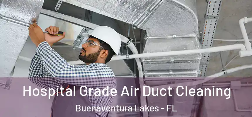 Hospital Grade Air Duct Cleaning Buenaventura Lakes - FL