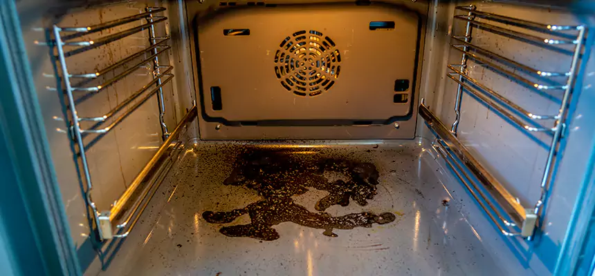 Our Dryer Vent Mold Cleaning Services in Buenaventura Lakes, FL