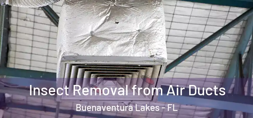 Insect Removal from Air Ducts Buenaventura Lakes - FL