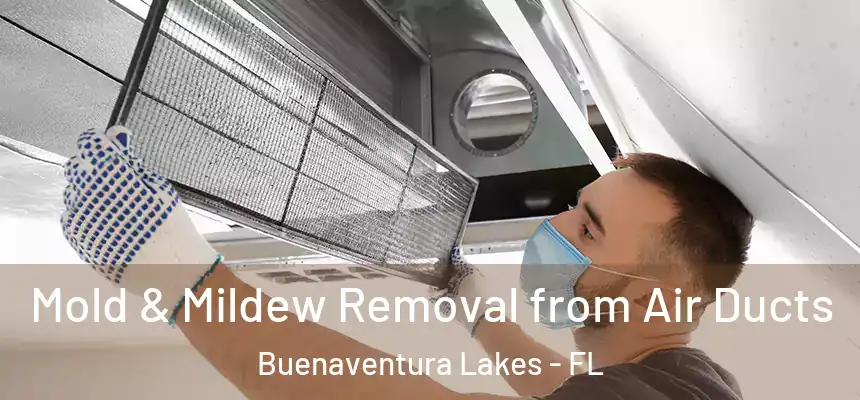 Mold & Mildew Removal from Air Ducts Buenaventura Lakes - FL