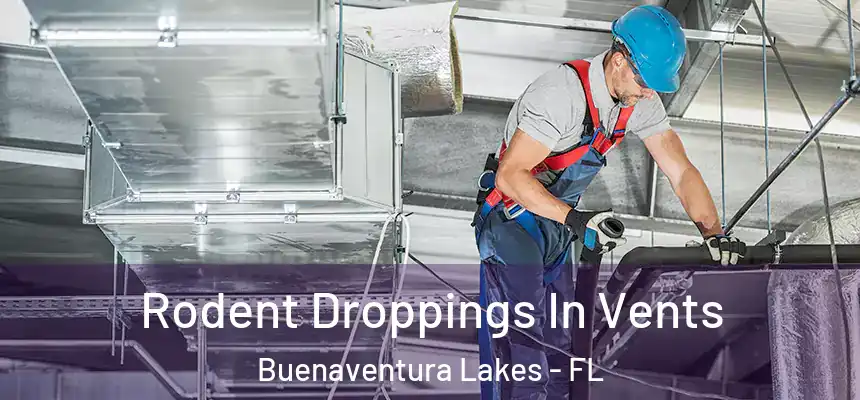 Rodent Droppings In Vents Buenaventura Lakes - FL