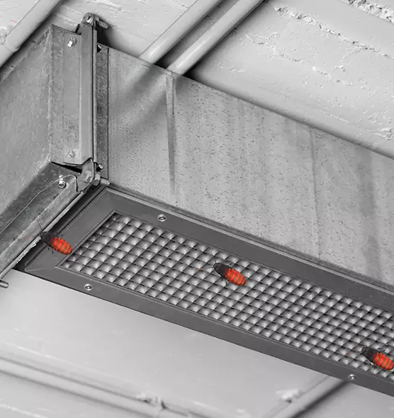 About Air Duct Cockroach Removal in Buenaventura Lakes, FL