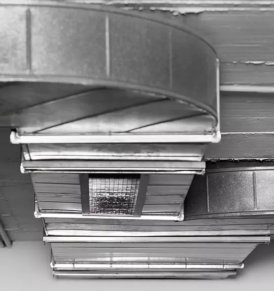 Professional Air Duct Pest Removal in Buenaventura Lakes, FL