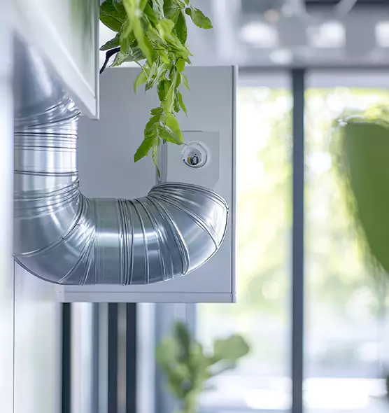 Professional Eco-Friendly Duct Cleaning Services in Buenaventura Lakes, FL