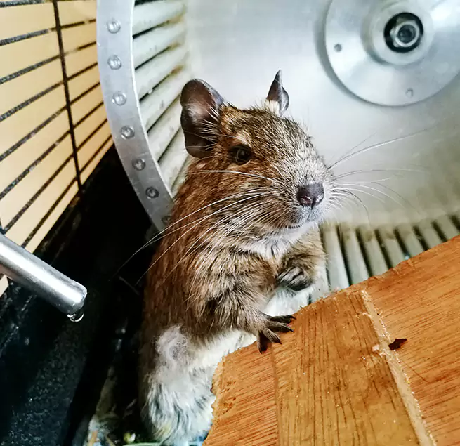 Why Homeowners & Businesses Trust Us Buenaventura Lakes, FL