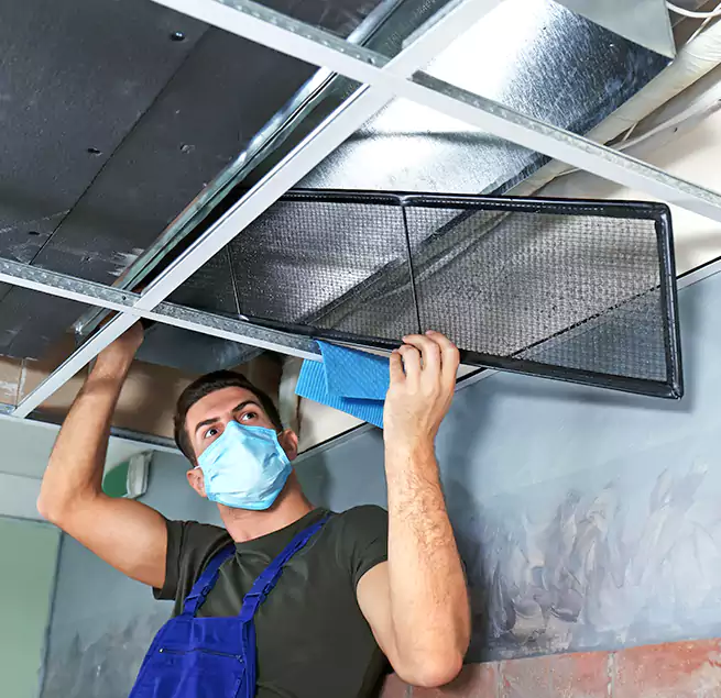 Why Homeowners Businesses Trust Us in Buenaventura Lakes, FL