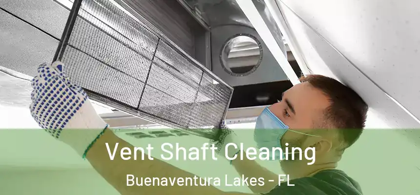 Vent Shaft Cleaning Buenaventura Lakes - FL